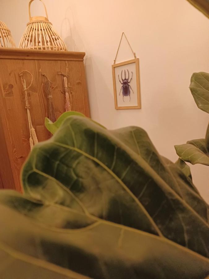 75M2 Indoor Glamping Scheveningen Apartment Хага Екстериор снимка